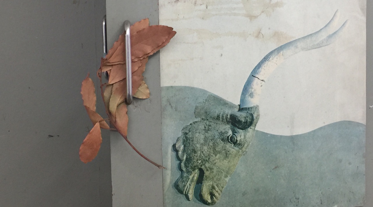 Bridget Macdonald's Studio
