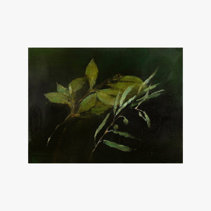 Bay and Olive (2012)