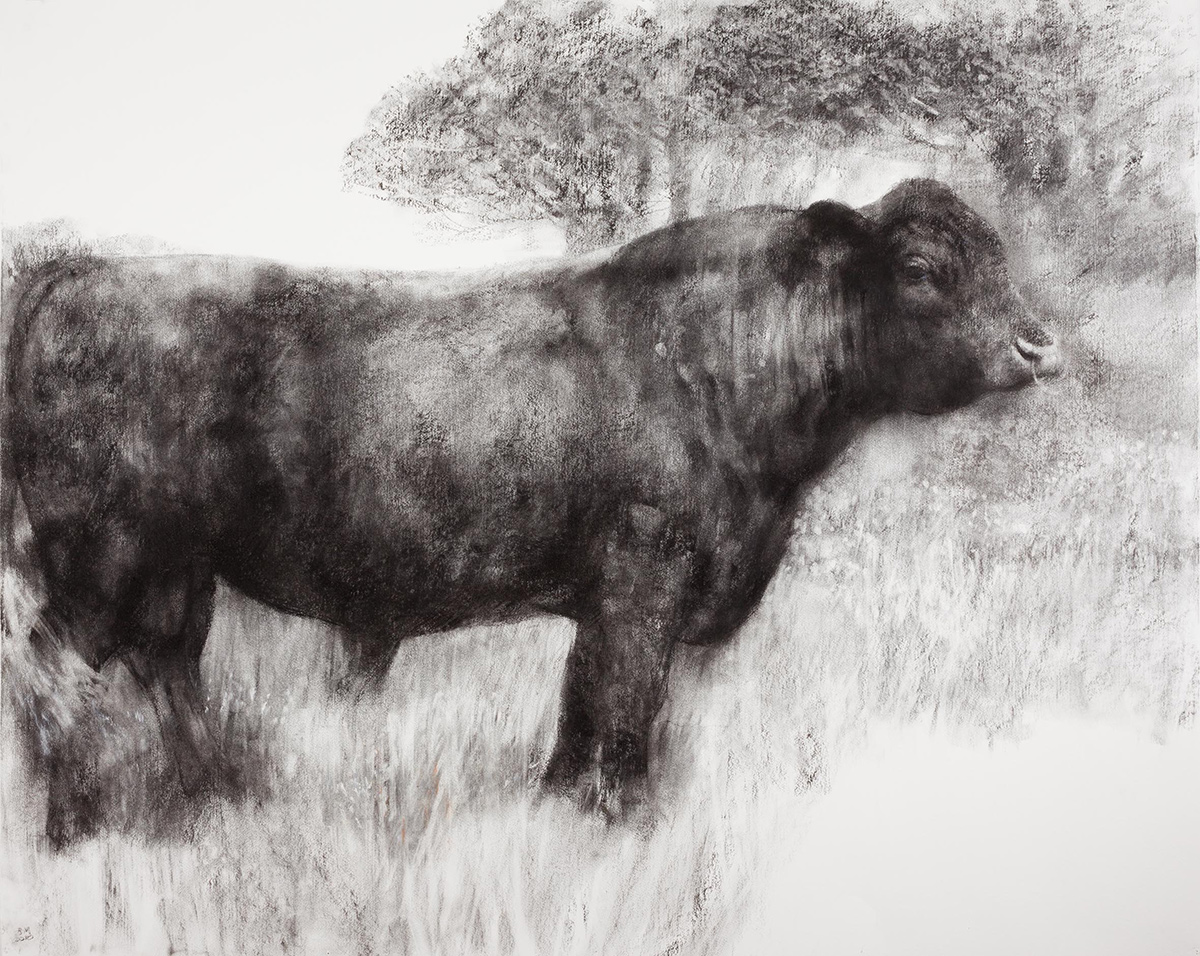 Bull in a Flowering Meadow (2010)