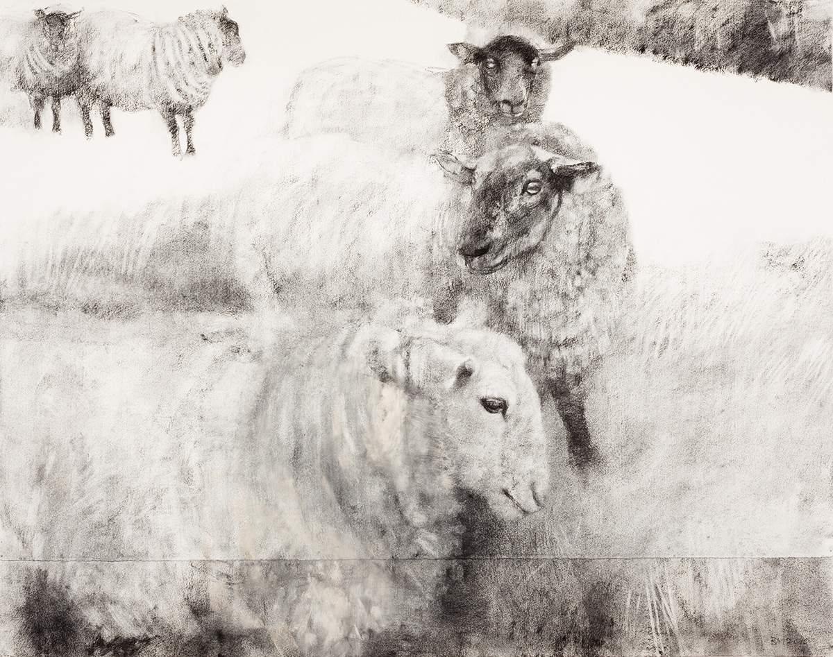 Ewes (2013)