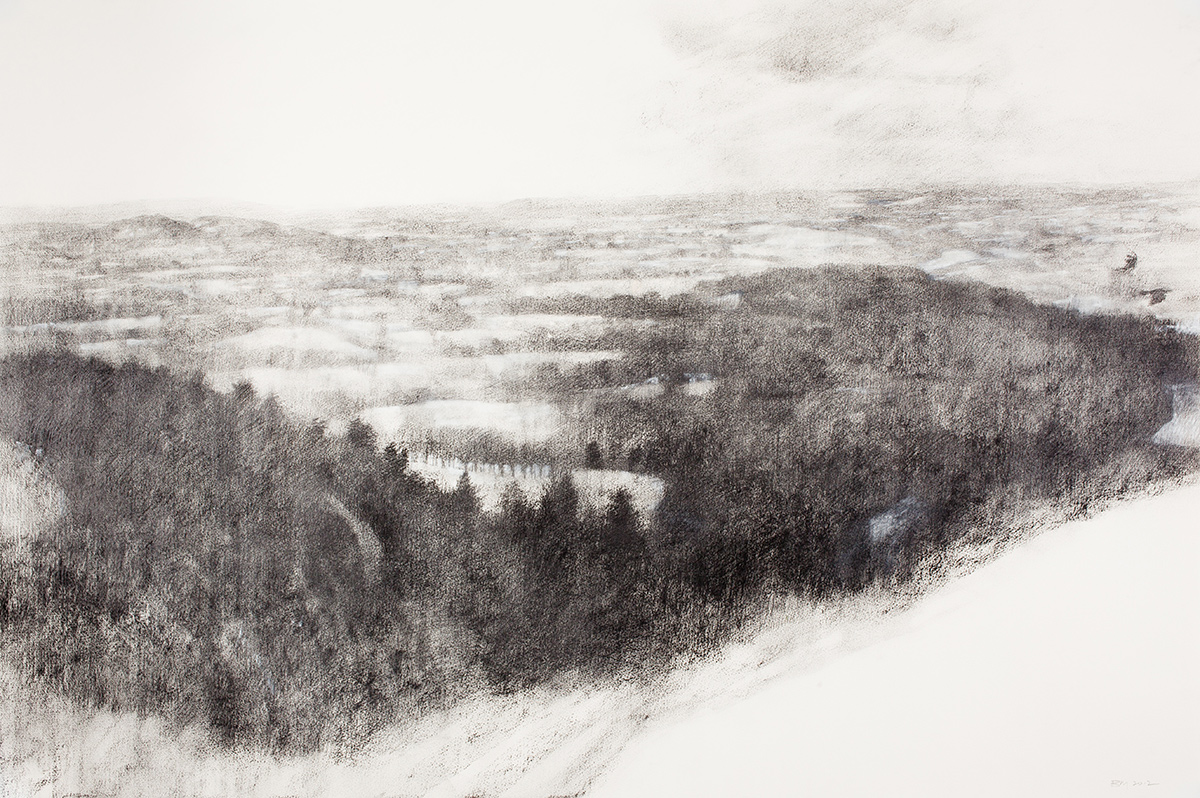 Snowy Woods (2012)
