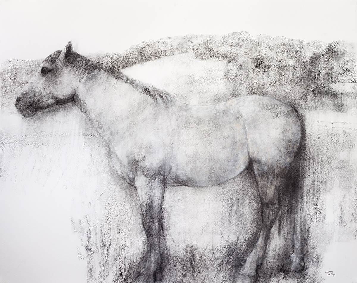 The Midsummer Mare (2014)
