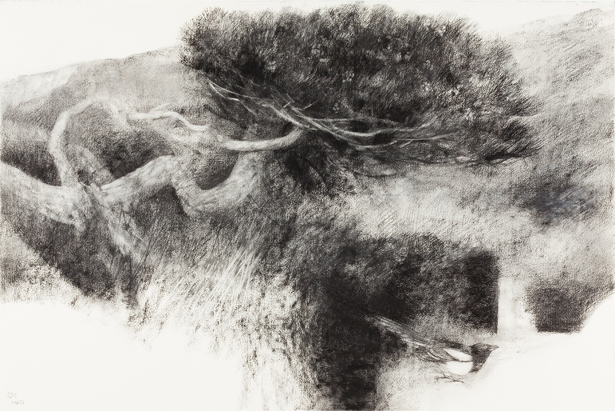 Tree and Magpie (2011)