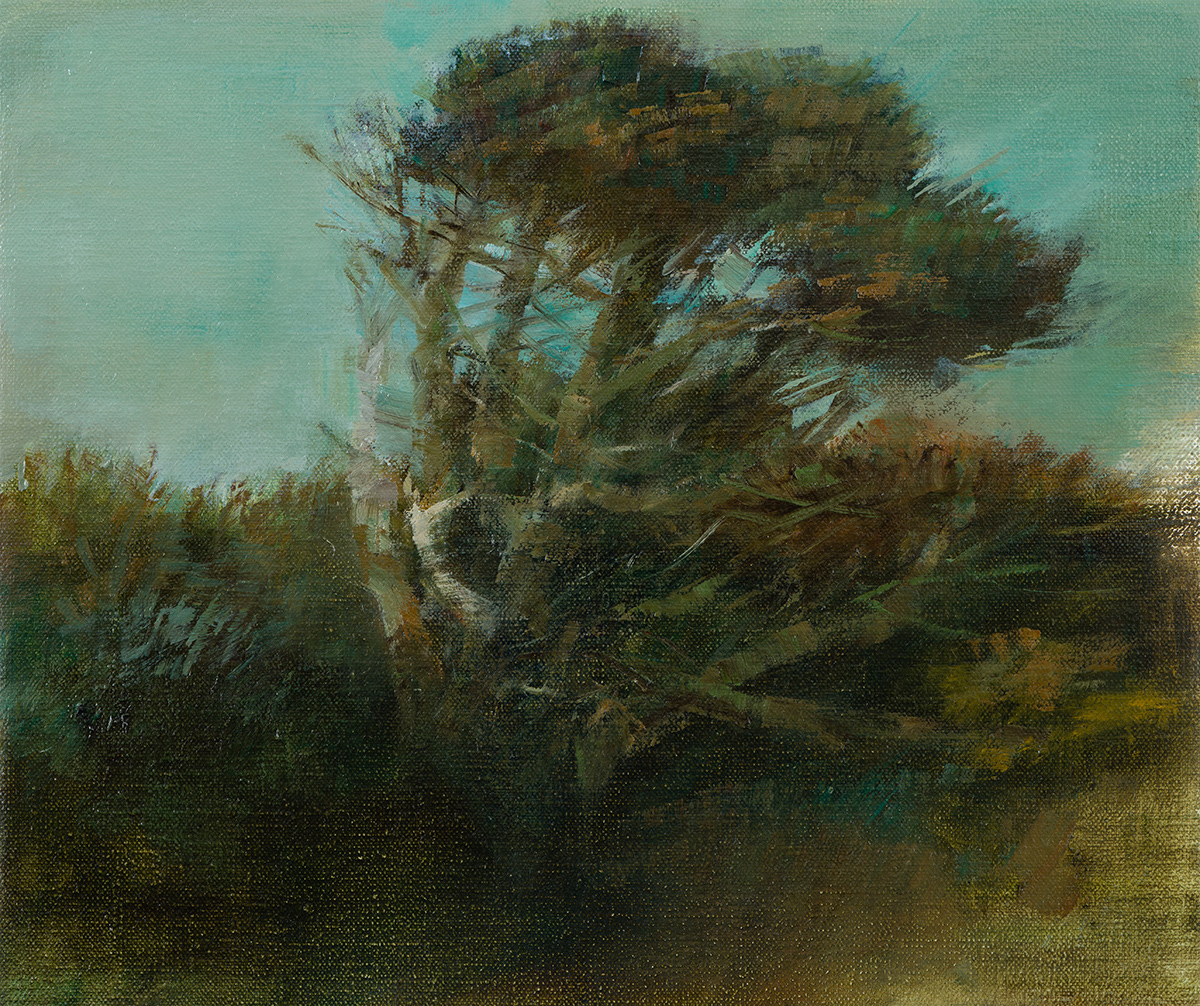 Old Tree in a High Wind (Tresco) (2014)